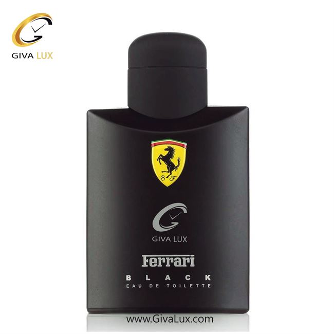   Scuderia Ferrari Black-1.jpg